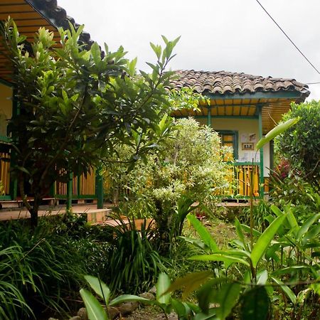 The Plantation House Travellers Hostel Salento Buitenkant foto