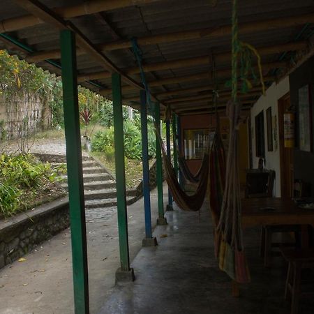 The Plantation House Travellers Hostel Salento Buitenkant foto