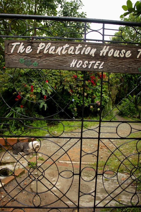 The Plantation House Travellers Hostel Salento Buitenkant foto