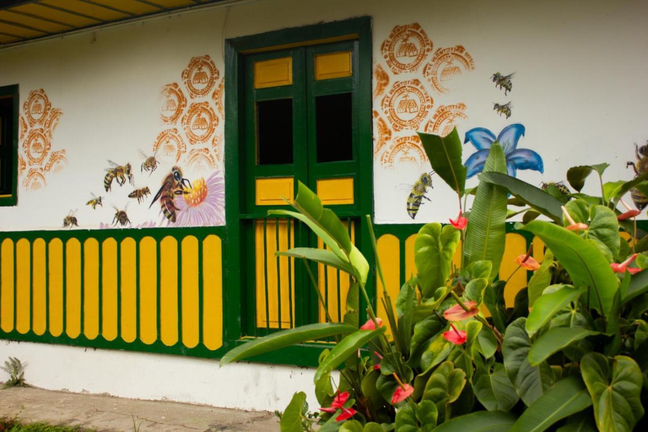 The Plantation House Travellers Hostel Salento Buitenkant foto