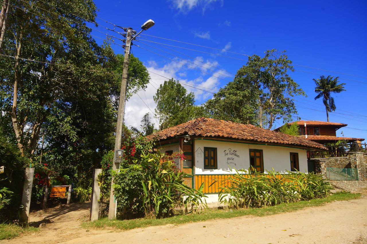 The Plantation House Travellers Hostel Salento Buitenkant foto