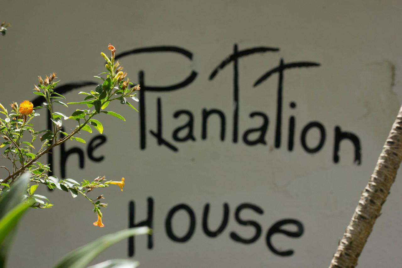The Plantation House Travellers Hostel Salento Buitenkant foto